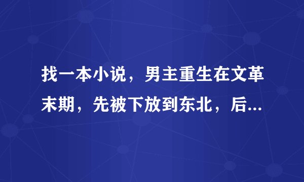 找一本小说，男主重生在文革末期，先被下放到东北，后考到北京，然后到美国拍电影，积累资金开科技公司。