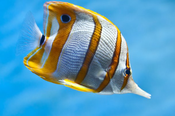 地生考试成绩怎么查询