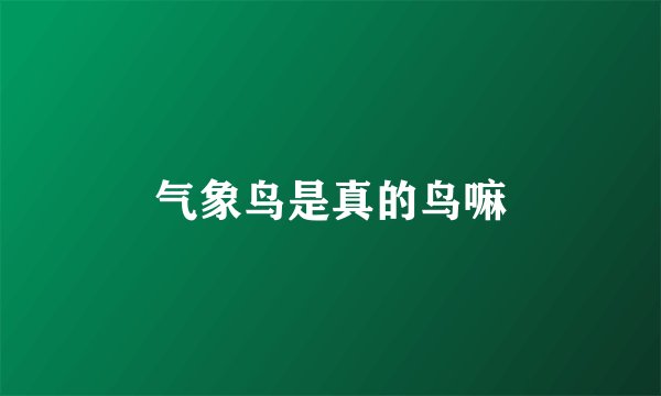 气象鸟是真的鸟嘛