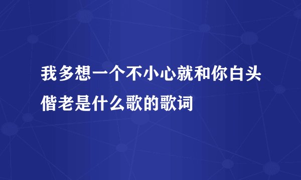 我多想一个不小心就和你白头偕老是什么歌的歌词