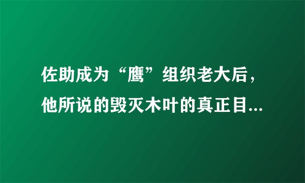 佐助成为“鹰”组织老大后，他所说的毁灭木叶的真正目的是什么只是为了他哥哥吗？还是另有原因？