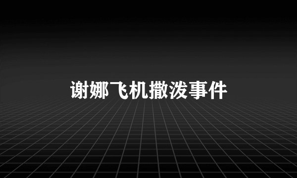 谢娜飞机撒泼事件