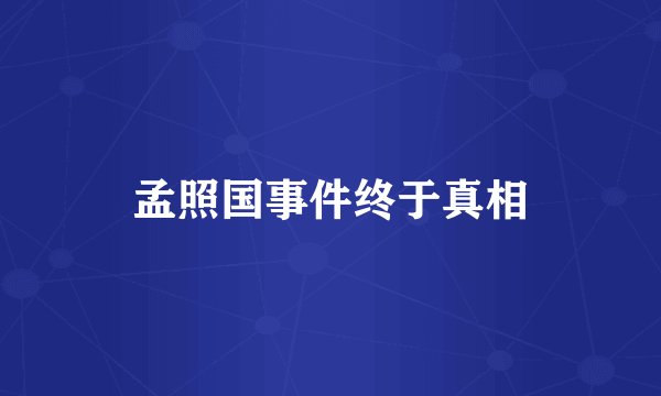 孟照国事件终于真相