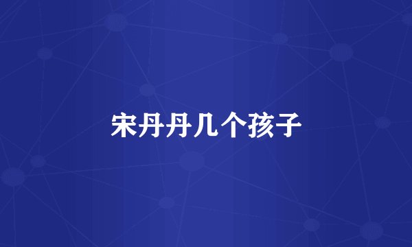 宋丹丹几个孩子