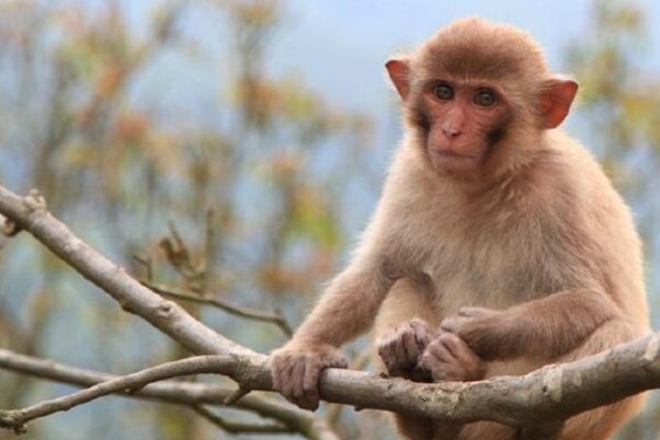 04年今年多大了2023