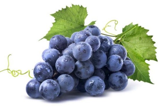 葡组词语和拼音