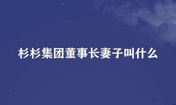 杉杉集团董事长妻子叫什么