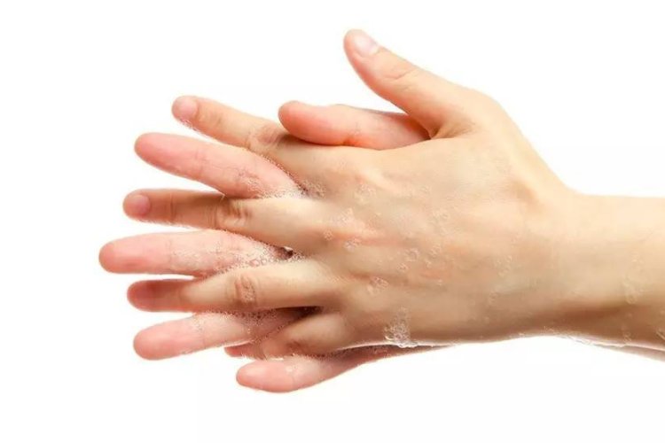 揉的组词和拼音部首