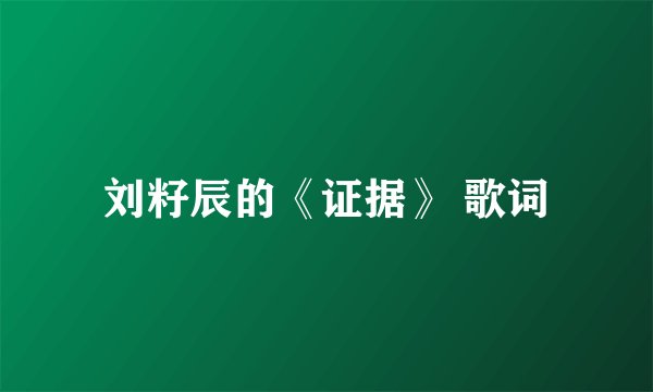 刘籽辰的《证据》 歌词
