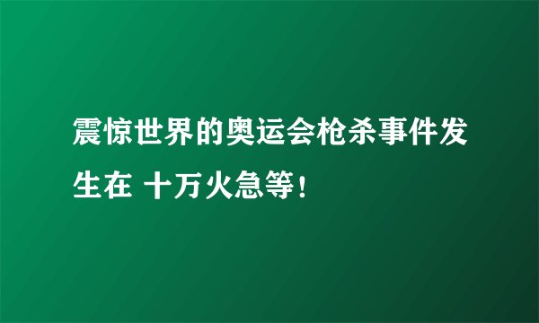 震惊世界的奥运会枪杀事件发生在 十万火急等！