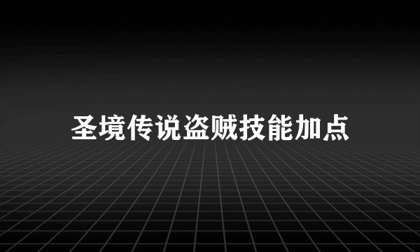 圣境传说盗贼技能加点