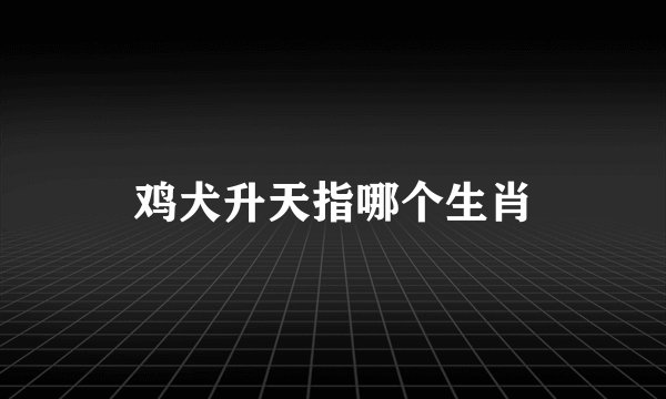 鸡犬升天指哪个生肖