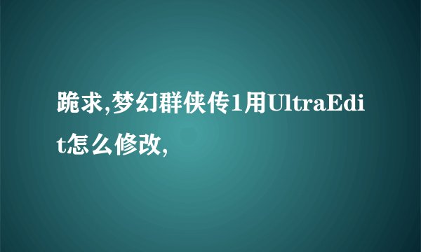 跪求,梦幻群侠传1用UltraEdit怎么修改,