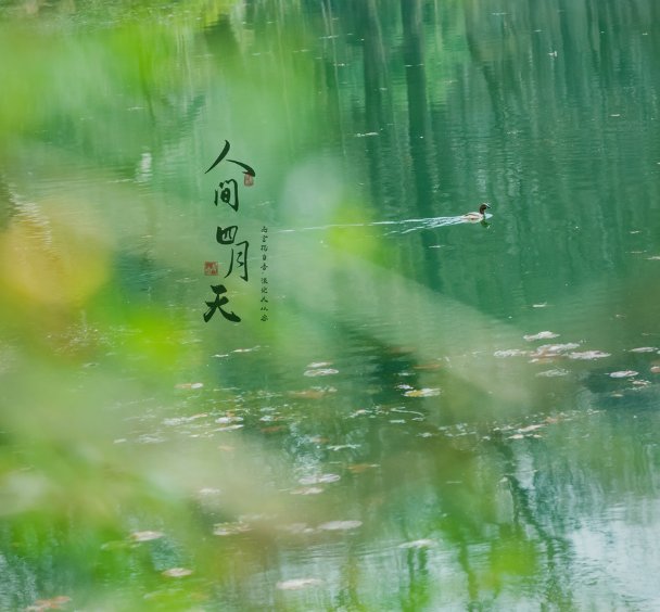 最美人间四月天的下一句