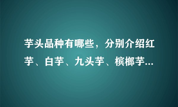 芋头品种有哪些，分别介绍红芋、白芋、九头芋、槟榔芋和龙洞早芋
