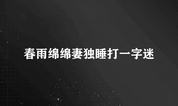 春雨绵绵妻独睡打一字迷