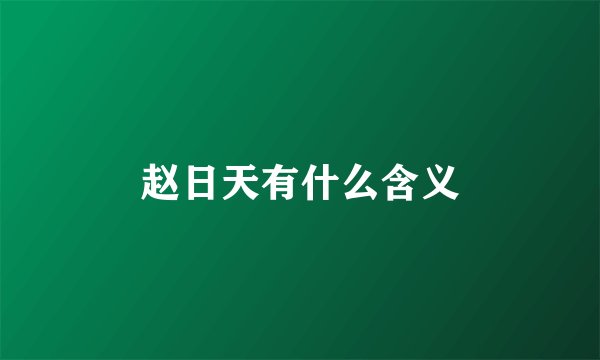 赵日天有什么含义