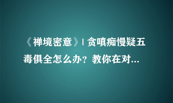 《禅境密意》| 贪嗔痴慢疑五毒俱全怎么办？教你在对境中观察并对治五毒