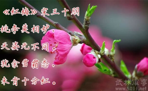 红梅王十朋的人物简介