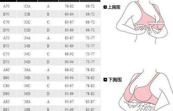 34B的胸围有多大？