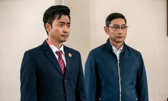 《巡回检查组》一共多少集？