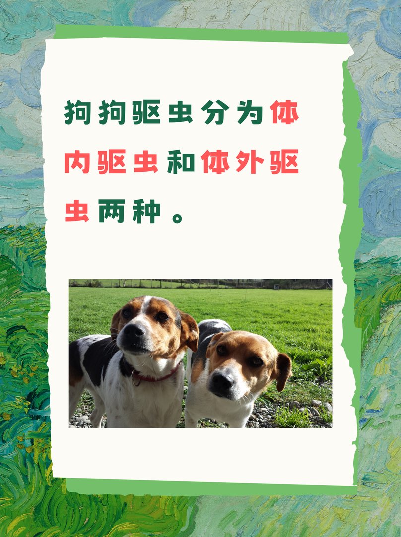 狗狗驱虫多少钱一次啊？