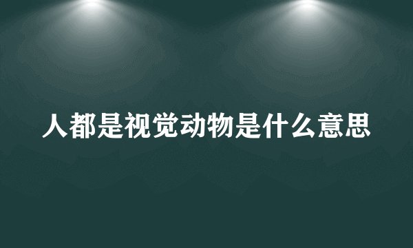 人都是视觉动物是什么意思