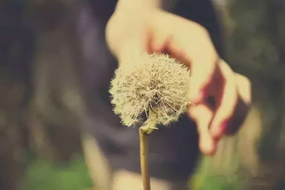 江苏女子指使现男友搬空前男友的婚房，两人均得到了什么处罚？