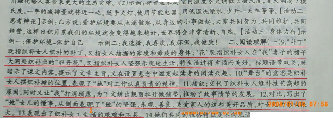 补丁也开花阅读答案