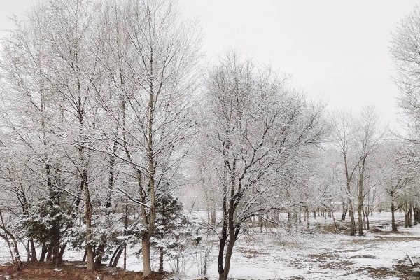 四月飞雪是什么兆头