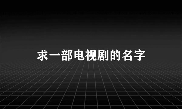 求一部电视剧的名字