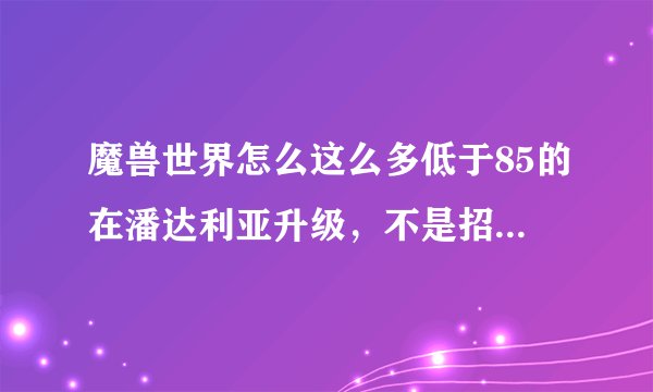 魔兽世界怎么这么多低于85的在潘达利亚升级，不是招募的，但是升级好快，是刷什么小艺吗？小艺是什么？知
