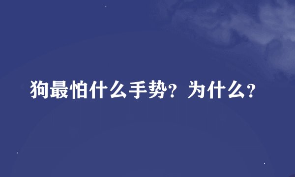 狗最怕什么手势？为什么？