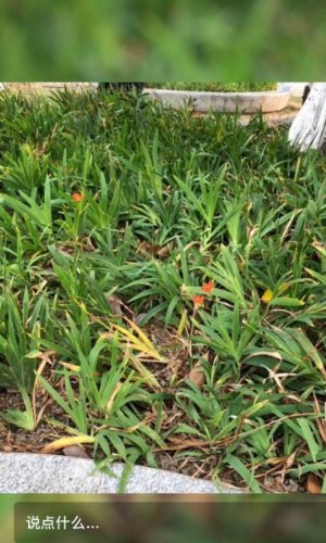 微信视频动态怎么设置永久？