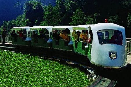 散客旅游的特点有哪些?