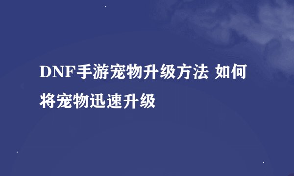 DNF手游宠物升级方法 如何将宠物迅速升级
