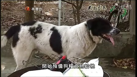 陈遗爱的介绍