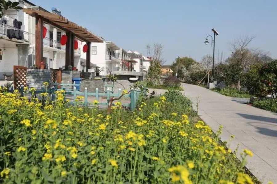 农的结构和部首是什么意思