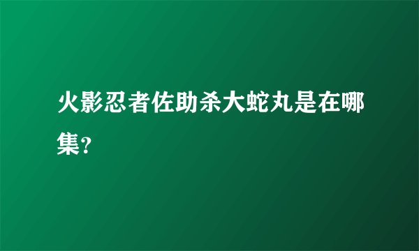 火影忍者佐助杀大蛇丸是在哪集？