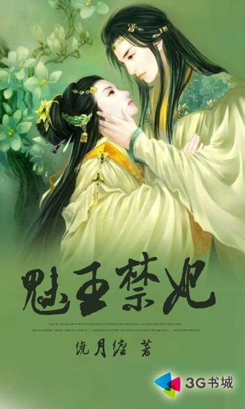 魅王掠妃的小说评价