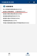 英语四六级成绩如何查询