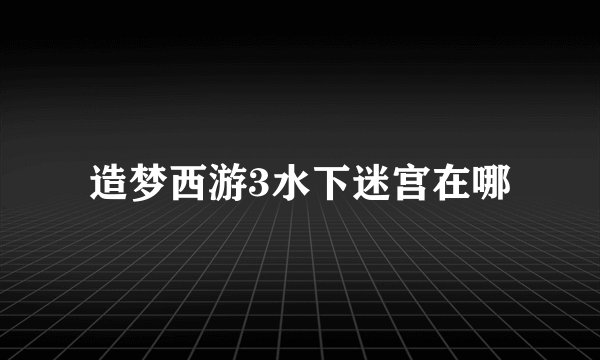 造梦西游3水下迷宫在哪