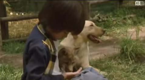 生命奇迹小狐狸的关于影片