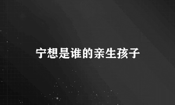 宁想是谁的亲生孩子