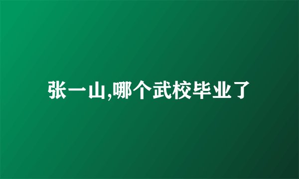 张一山,哪个武校毕业了