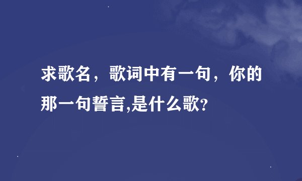 求歌名，歌词中有一句，你的那一句誓言,是什么歌？