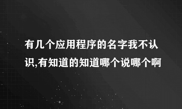 有几个应用程序的名字我不认识,有知道的知道哪个说哪个啊
