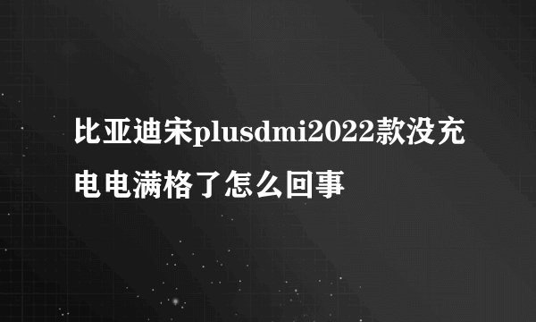 比亚迪宋plusdmi2022款没充电电满格了怎么回事