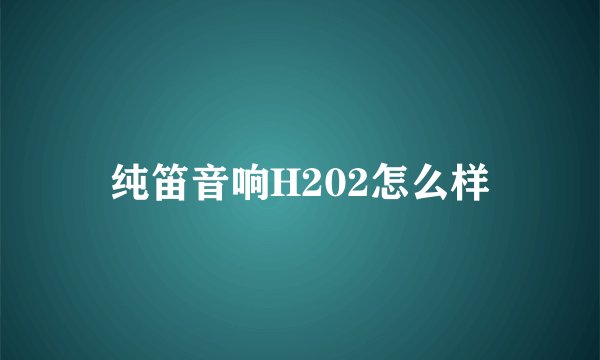 纯笛音响H202怎么样