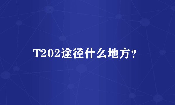 T202途径什么地方？